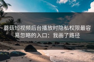 蘑菇短视频后台播放时隐私权限最容易忽略的入口：我画了路径