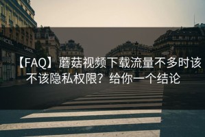 【FAQ】蘑菇视频下载流量不多时该不该隐私权限？给你一个结论
