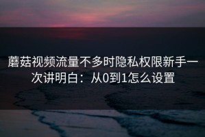 蘑菇视频流量不多时隐私权限新手一次讲明白：从0到1怎么设置